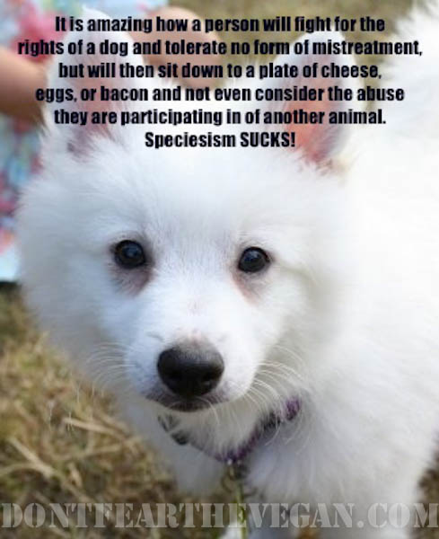 speciesism