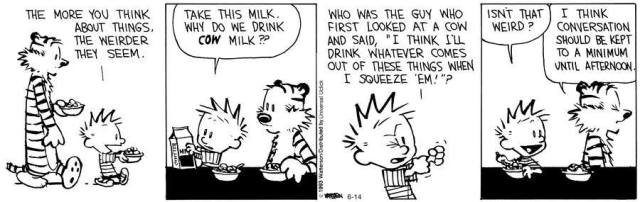 milk971458_497578616973933_1970692121_n