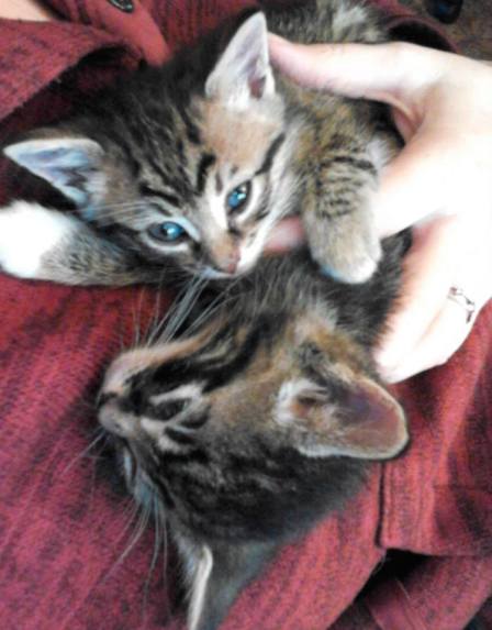 foster1296264_10200092195323284_2140869457_n