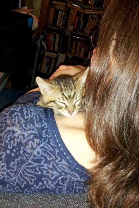 foster3942381_10200272501270820_1219805779_n