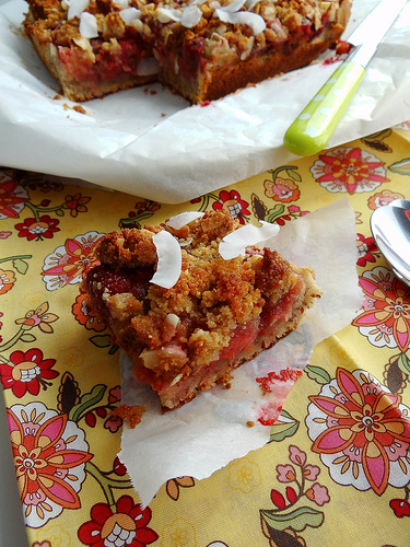 Strawberry Rhubarb Coconut Crumb bars via Sunday Morning Banana Pancakes