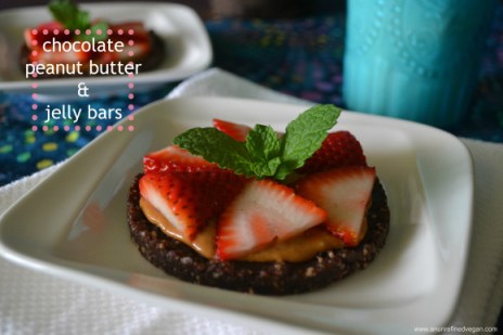 An Unrefined Vegan made (CHOCOLATE) PEANUT BUTTER & JELLY BARS, FOR TWO. GLUTEN-FREE. MOSTLY RAW.